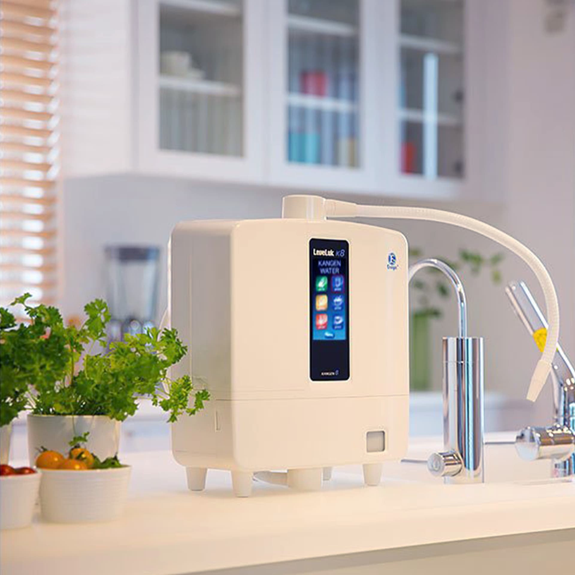 The Enagic Kangen K8 water machine